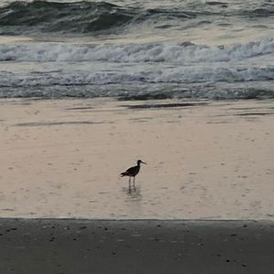 Meet your Posher, Alison